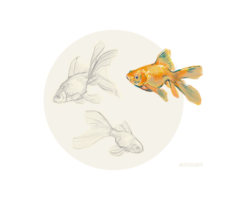 goldfish (2.2)